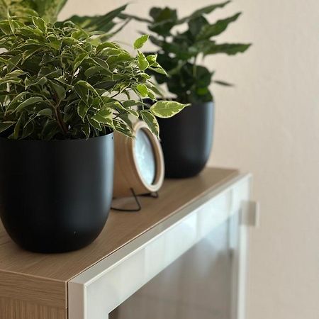 Appartement Elena Linz Buitenkant foto