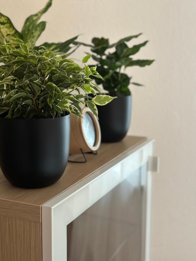 Appartement Elena Linz Buitenkant foto